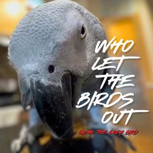 Who Let The Birds Out (Jetty Rachers Remix)