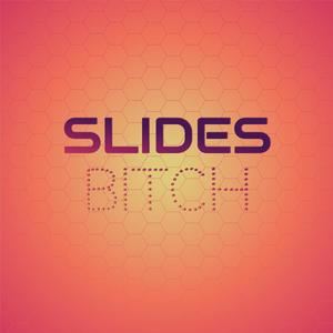 Slides *****
