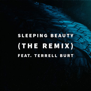 Sleeping Beauty (The Remix)