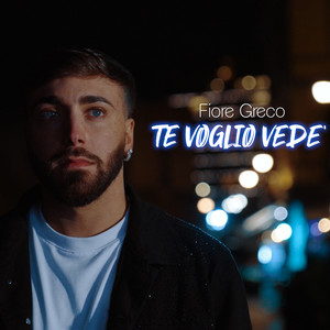 Te Voglio Vedé