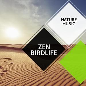 Zen Birdlife - Nature Music