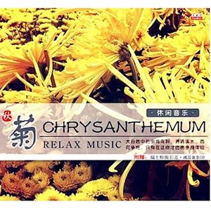伤痕-群星