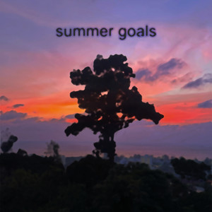 Summer Goals