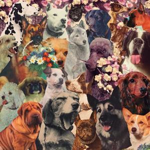 nina (feat. andrew & Jesse the Tree) (Explicit)