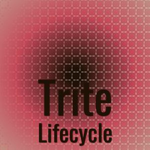 Trite Lifecycle