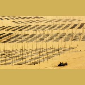 BT- Remember (JayGwon Remix)