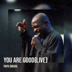 You Are Good (Live)