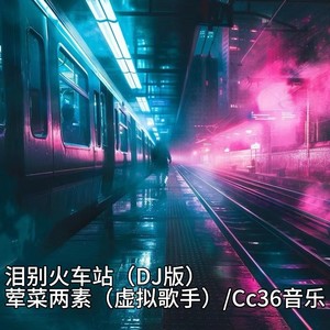 泪别火车站 (DJ版)