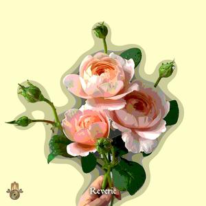Reverie
