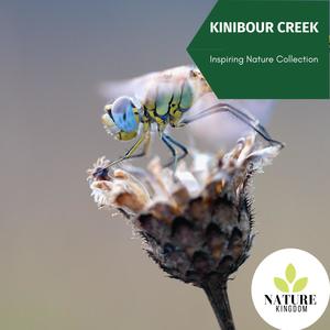 Kinibour Creek - Inspiring Nature Collection