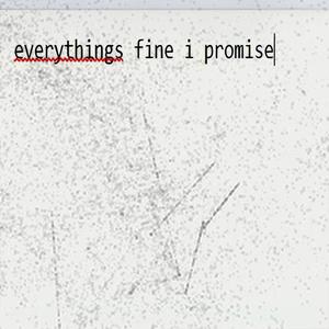 everythings fine i promise