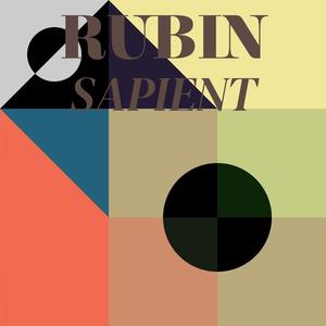 Rubin Sapient