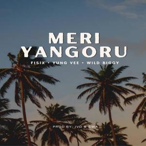 Meri Yanguru (feat. Wild-Biggy & Yung-Vee)