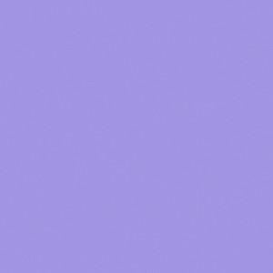 BIRDS OF A FEATHER (Lofi Version)