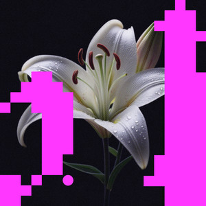 Landslide (Braxton Remix)