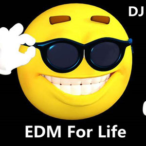 2018百大顶尖单曲MIX (DJJerry remix)