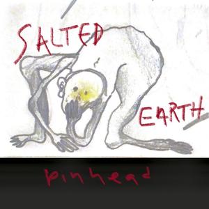 salted earth