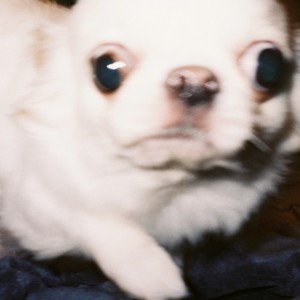 バグり (feat. kZm, Awich, PETZ, MonyHorse & JNKMN) (Explicit)