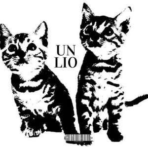 UN LIO