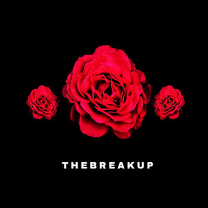 Thebreakupisover