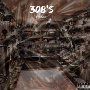 308'S (Explicit)