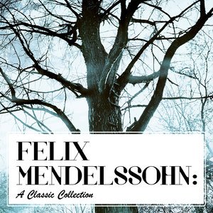 Piano Concerto No. 2 in D Minor, Op. 40: II. Adagio - Molto sostenuto