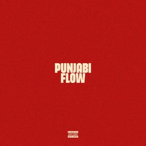 PUNJABI FLOW (Explicit)