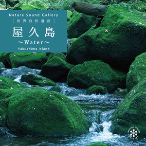 苔をつたう水滴～屋久島・安房森林軌道／自然音 水滴 水音