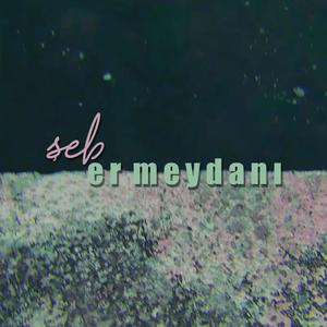 Er Meydanı