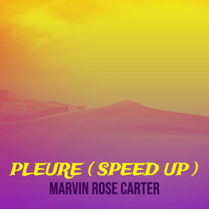 Pleure ( speed up )