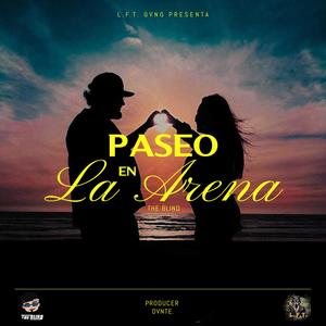 PASEO EN LA ARENA