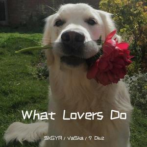 Maroon 5-What Lovers Do (ÖWNBOSS & RADIØMATIK Remix|SKGYR / VaSka / 9 Diuz remix)