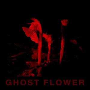 Ghost Flower