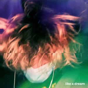 like a dream (feat. arismemoir)