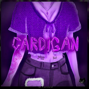 CARDIGAN (feat. Balcd Official)