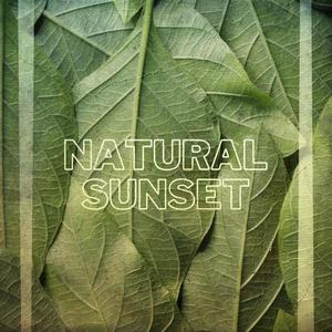 Natural Sunset (Radio Edit)