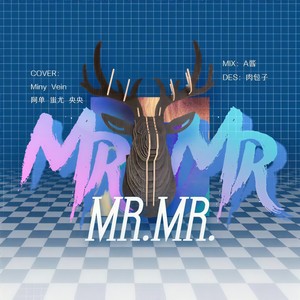 Mr.Mr