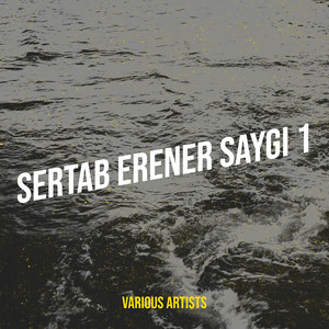 Sertab Erener Saygı 1