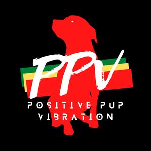 Positive Pup Vibration