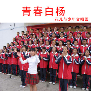 青春白杨