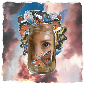 Picking Wings Off A Butterfly