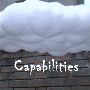 Capabilities