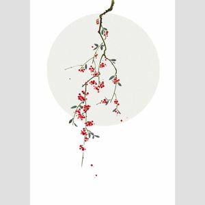 我们本来就不该遇见