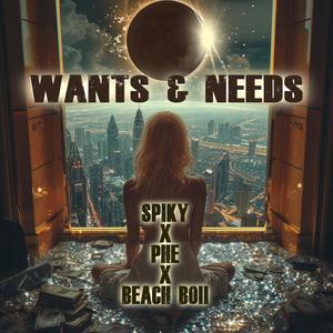WANTS AND NEEDS (Explicit)