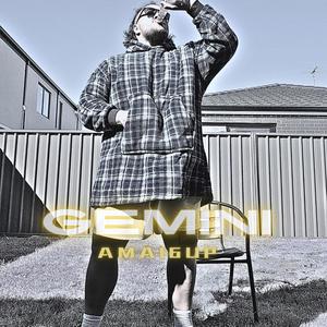 GEMINI (Explicit)