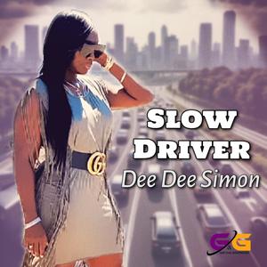Slow Driver