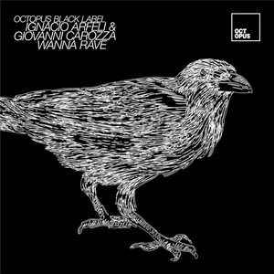 I Wanna Rave (Original Mix)