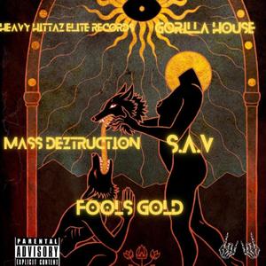 Fools Gold (feat. S.A.V) (Explicit)