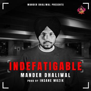 Indefatigable (feat. Insane Muzik)