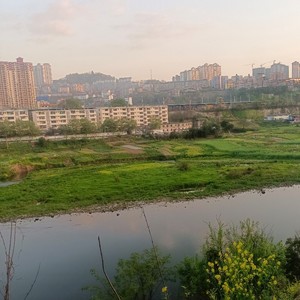 才子佳人 (伴奏)